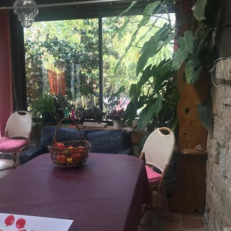 Le Paradis Bed & Breakfast Zicavo Exterior foto